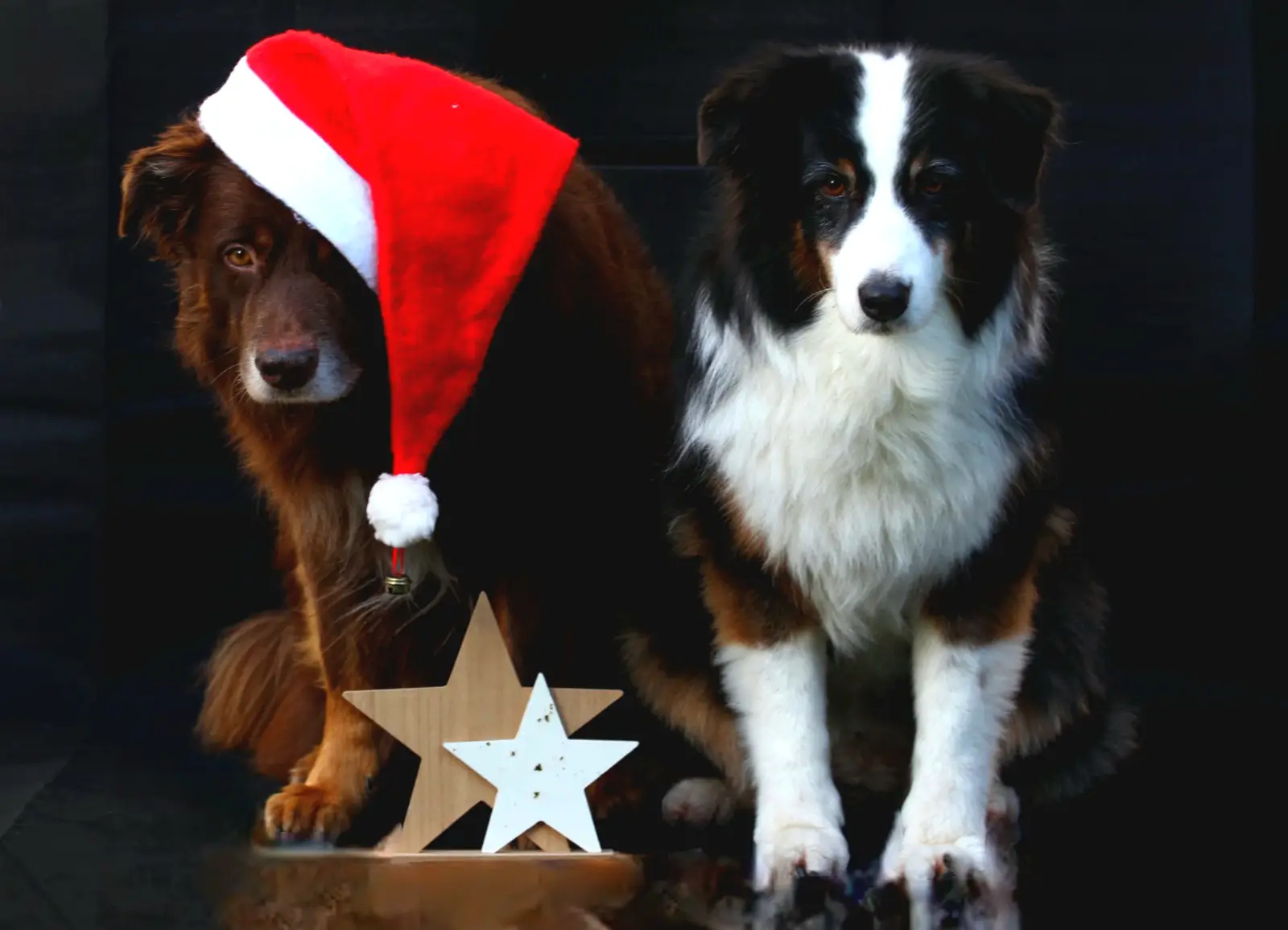 Weihnachtsgrüße 2025